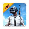 pubg地铁逃生国际服2023手游