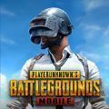 pubg2.7绿体文件包手游
