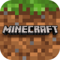 我的世界模拟大都市（Minecraft）手游