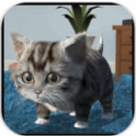 猫咪模拟器3D手游