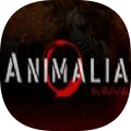 Animal Puzzle手游