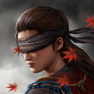 影子猎人的传说（Ryuko）手游
