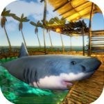 Surfer Run手游