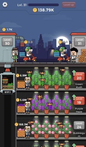 闲置绿植工厂 闲置绿植工厂