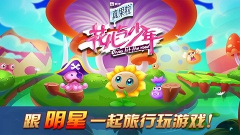花儿与少年 花儿与少年