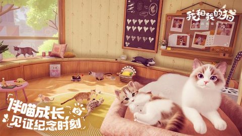 我和我的猫最新版