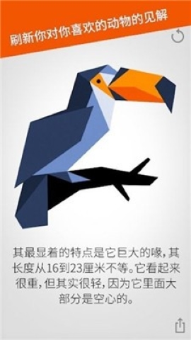 七巧板拼图 七巧板拼图