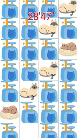 打猫猫 打猫猫