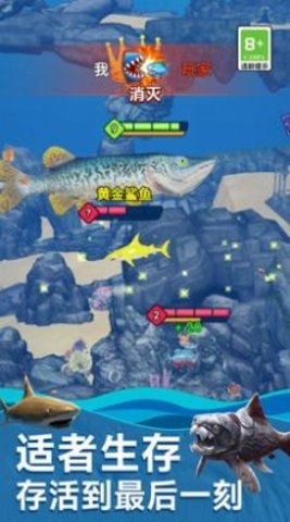 海底生存进化世界 海底生存进化世界