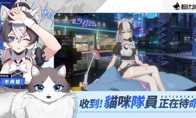 猫之城台服 猫之城台服