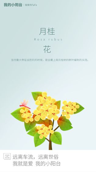 我的小阳台 我的小阳台