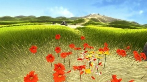 flower花 flower花