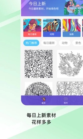 paint数字填色 paint数字填色