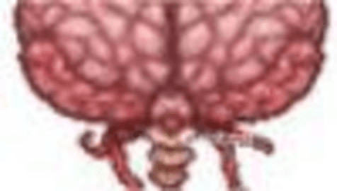 泰拉瑞亚汉化版 泰拉瑞亚汉化版