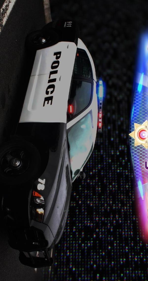 警车停泊模拟器2020