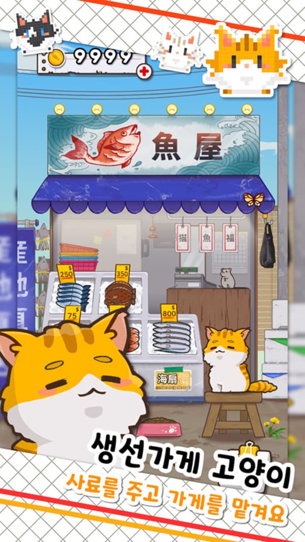 鱼店猫老板手游