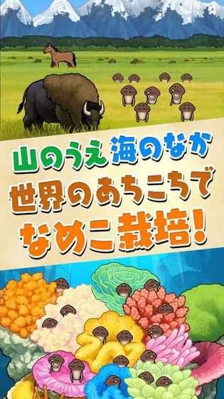 滑子菇栽培四季版手游
