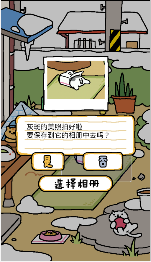 猫咪后院2025手游