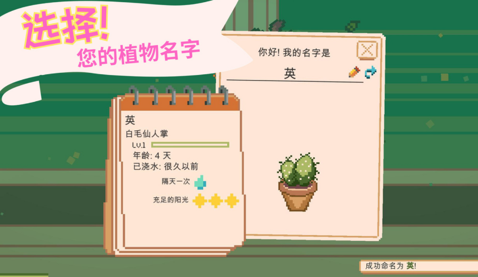 窗边花园手游
