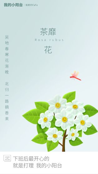 我的小阳台手游