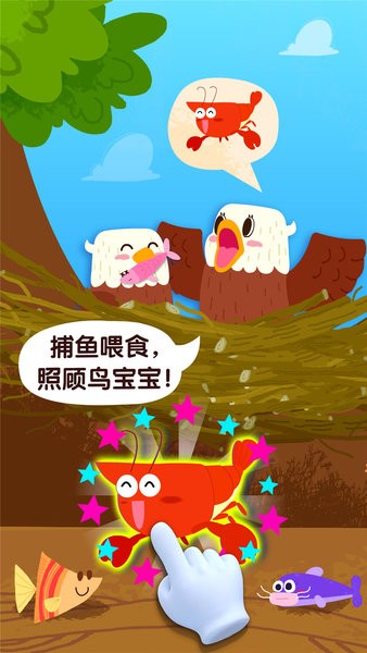宝宝鸟类认知手游