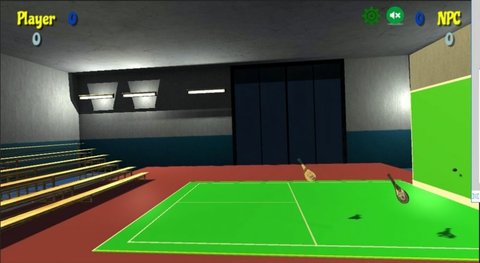 前墙球拍（Paleta Fronton）手游