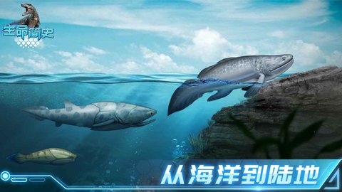 生命简史游戏手游