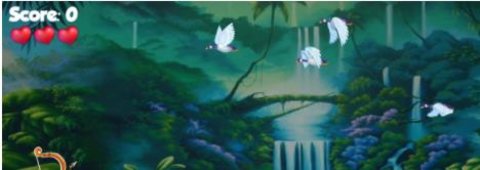 射鸭射鸟（Bird Hunting）手游