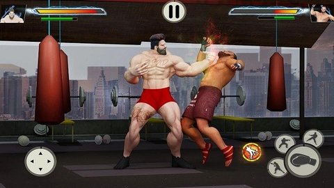gym格斗（Gym Fighting）手游