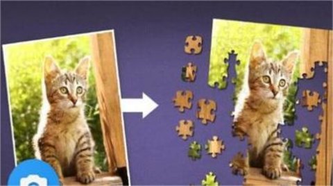 只是拼图游戏（Just Jigsaws）手游