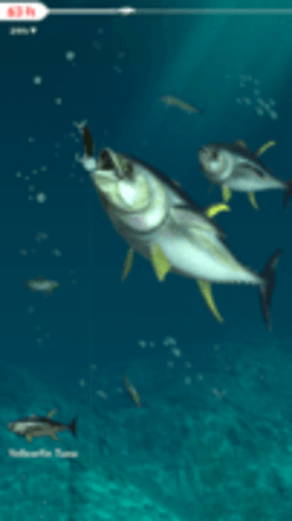 拉帕拉钓鱼（Rapala Fishing）手游