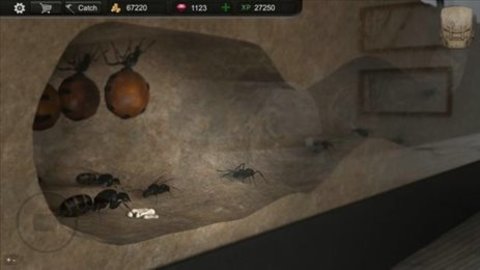 蚂蚁模拟大亨（Ant Sim Tycoon）手游