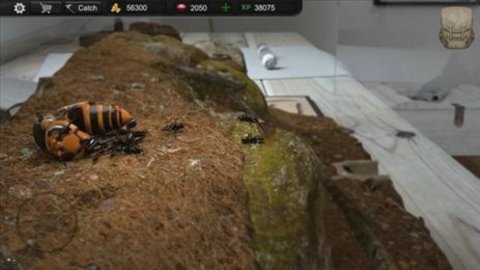 蚂蚁模拟大亨（Ant Sim Tycoon）手游