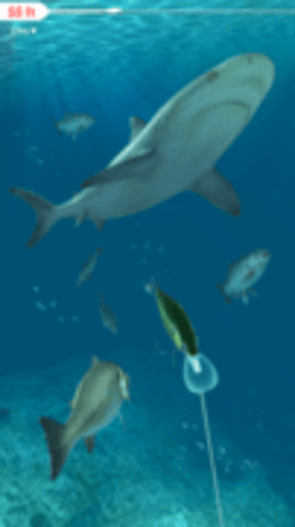 拉帕拉钓鱼（Rapala Fishing）手游
