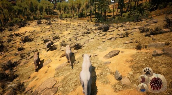 Animal Friend手游