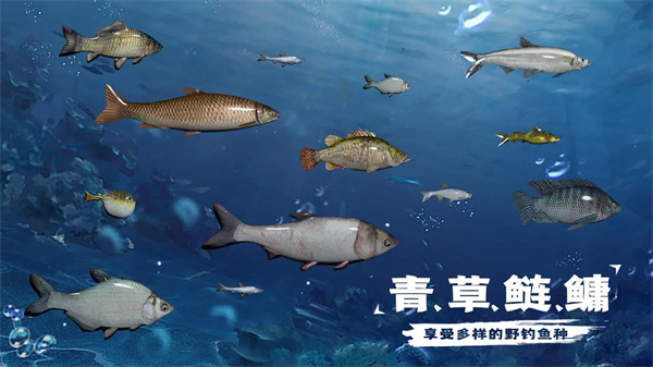 天天钓鱼水族馆收入攻略 水族馆鱼收入计算方法[多图]图片1